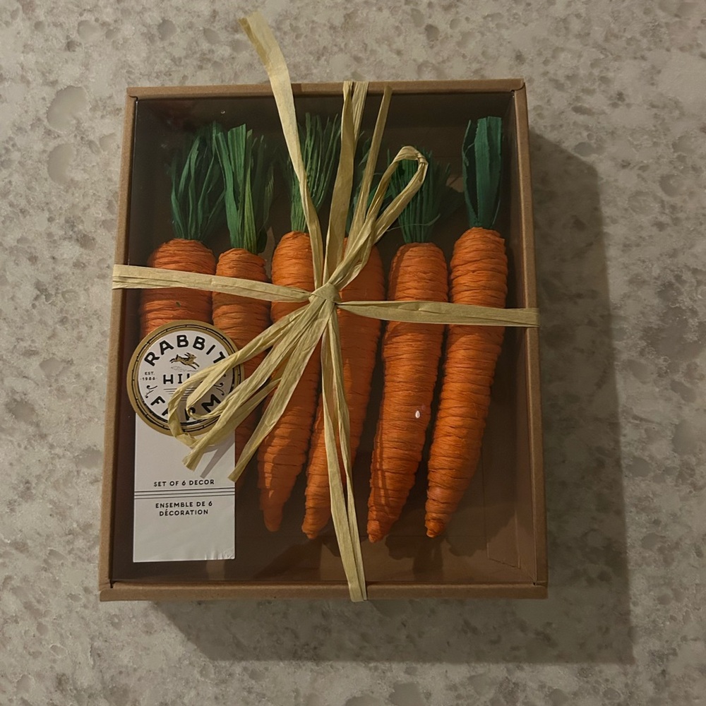 “New” Rabbit Hill Farm Orange Decorative Carrot Set - Pack of 6